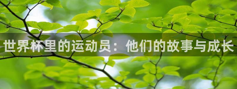 2026世界杯32强对阵图表:世界杯里的运动员:他们的故事与成长
