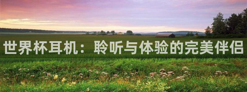 世界杯 赛程：世界杯耳机：聆听与体验的完美伴侣