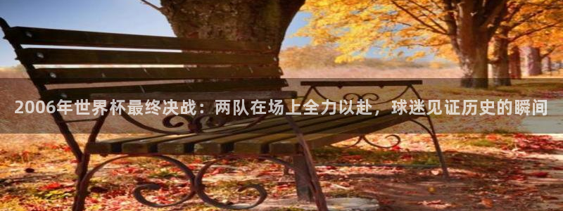世界杯系列赛：2006年世界杯最终决战：两队在场上全力以赴，球迷见证历史的瞬间