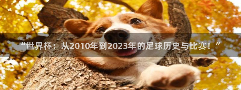 世界杯亚洲区预选赛赛程表：“世界杯：从2010年到2023年的足球历史与比赛！”