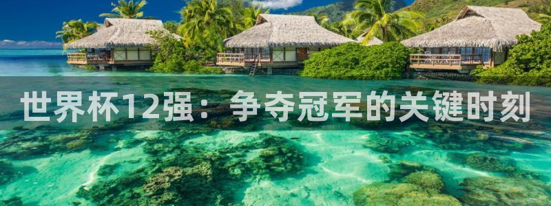 2026世界杯足球赛程时间表：世界杯12强：争夺冠军的关键时刻