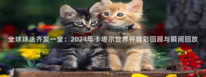 世界杯预选赛亚洲区赛程：全球球迷齐聚一堂：2024年卡塔尔世界杯精彩回顾与瞬间回放