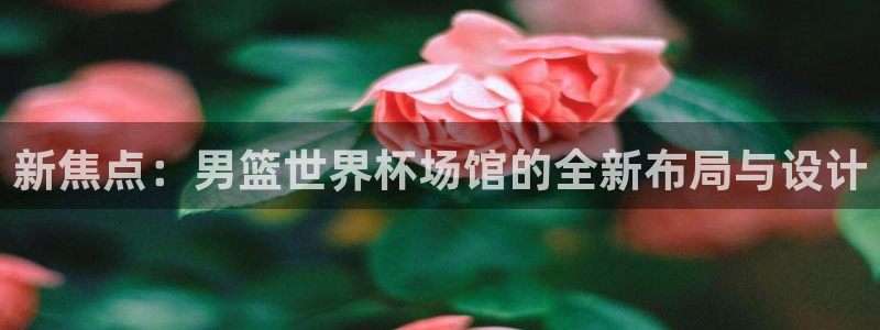 世界杯直播高清：新焦点：男篮世界杯场馆的全新布局与设计