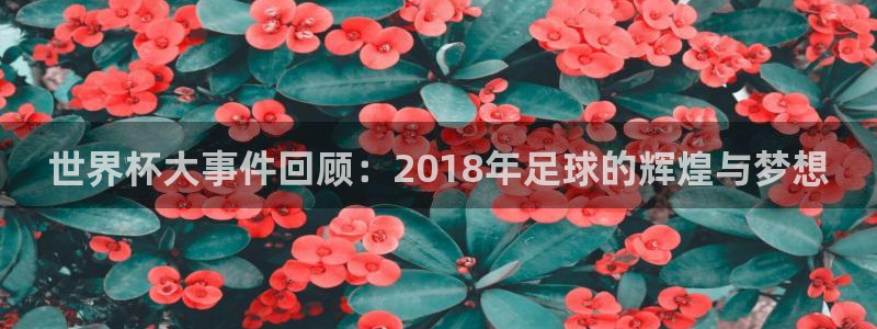世界杯直播高清：世界杯大事件回顾：2018年足球的辉煌与梦想